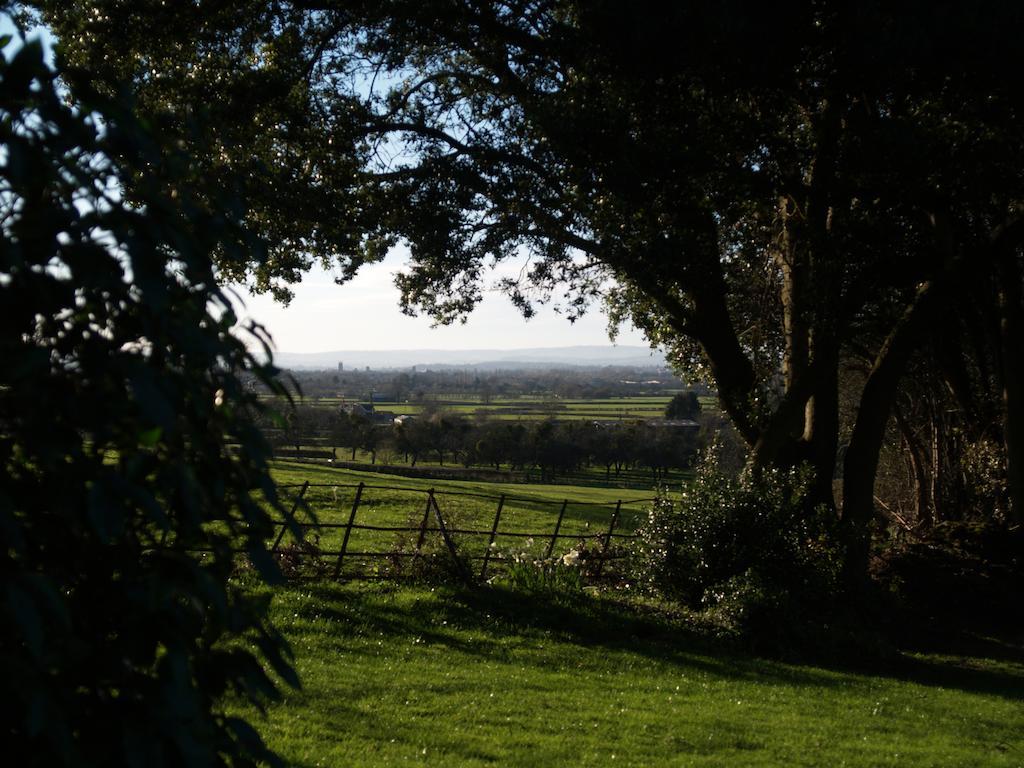 The Mount Somerset Taunton Exterior foto